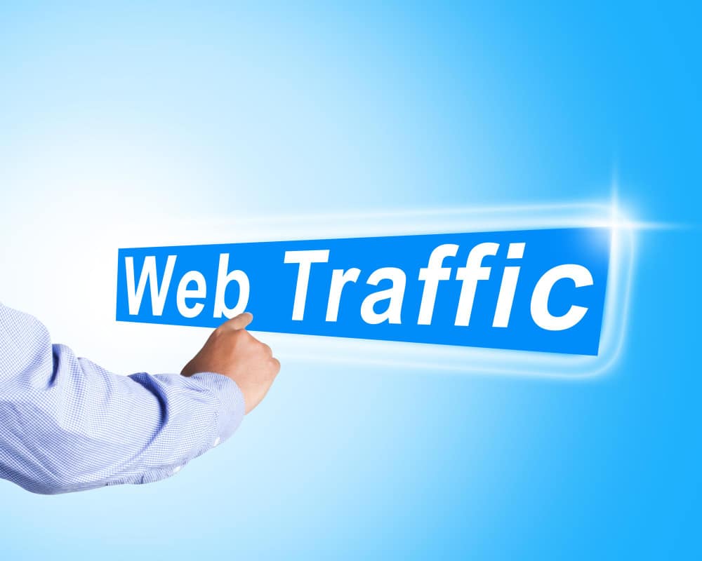 Web Traffic​ - Bizdify